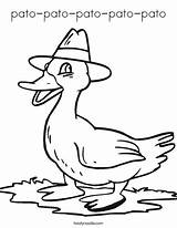 Quack Coloring Duck Pato Pages Ducky Clipart Giggle Hat Wears Goose Kids Print Login Template Tracing Cliparts Cursive Twistynoodle Pelican sketch template