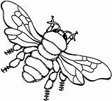 Biene Ausmalbild Ausmalbilder Bienen Ausdrucken Abeja Supercoloring Insekten Dibujo Malvorlagen Line Siluetas sketch template