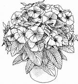 Ausmalen Blumen Erwachsene Zenideen sketch template