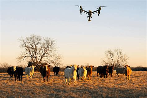 drones  checking cattle  top brands reviewed staakercom