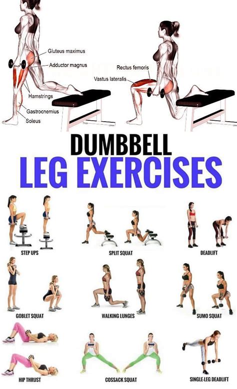 top  dumbbell exercises   leg destroying workout gymguidercom