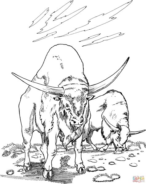 water buffaloes coloring page  printable coloring pages