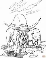 Buffalo Coloring Water Pages Outline Drawing Two Printable Buffaloes Main Color Gif Comments Buffalos Getdrawings Coloringhome Skip sketch template