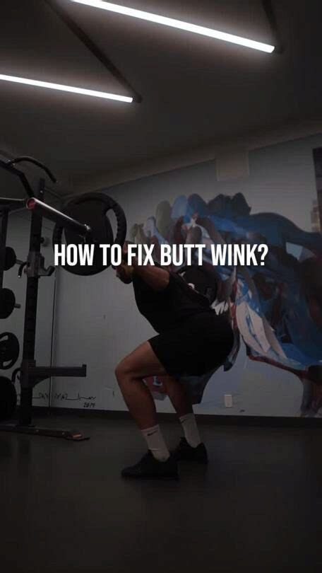 how to fix butt wink in the squat gymaholic fitness app