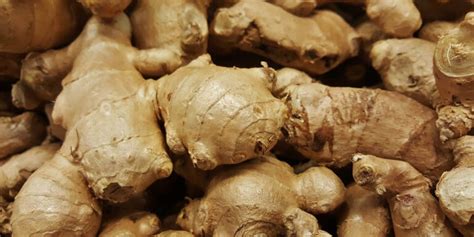 ginger production guide national agricultural advisory services