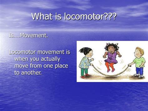 locomotor movements   locomotor movements powerpoint
