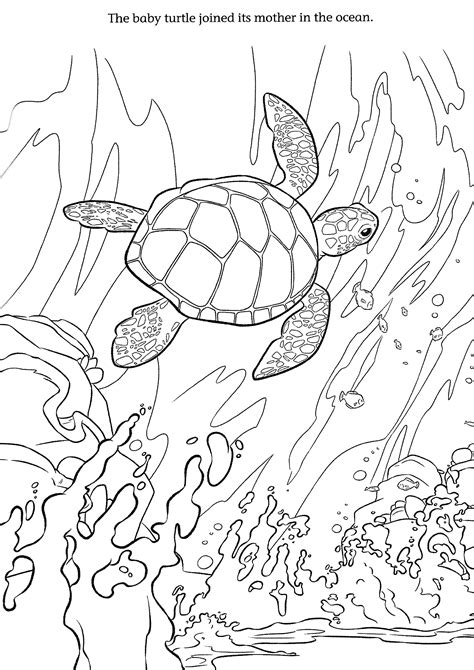 moana coloring page moana coloring moana coloring page colouring pages