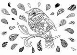 Bird Coloring Zentangle Birds Pages Drop Adults Doodle Drops Adult Articles Drawing Animals Kids sketch template
