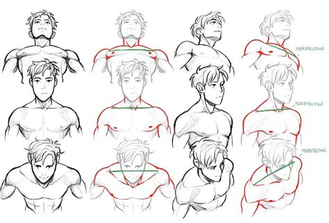 miyuli みゆり on figure drawing tutorial figure drawing reference male