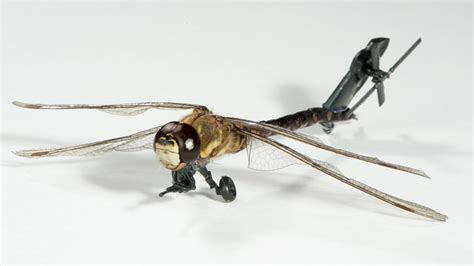 bugs drone homecare