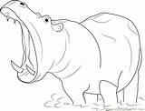 Coloring Mouth Open Hippopotamus Drawing Pages Pic Coloringpages101 Realistic Print Getdrawings Online sketch template