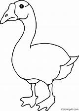 Coloringall Geese sketch template