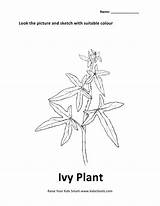 Ivy Poison sketch template