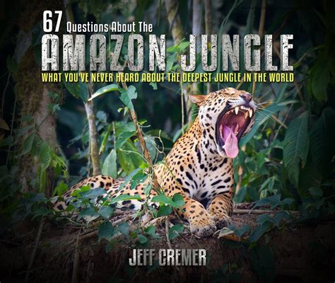 67 Questions About The Amazon Jungle By Jeff Cremer Rainforest