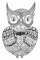 Coloring Owl Pages sketch template