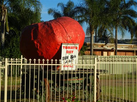 sydney australia  big tomato