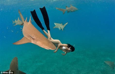 south african free diver swims naked just inches from deadly sharks