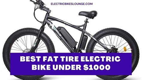 fat tire electric bike     review buyer guide