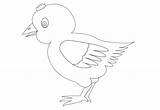 Vector Chicken Coloring Clker Clip Large sketch template