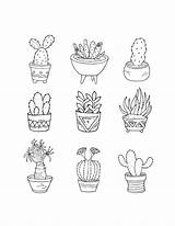 Succulent Cacti sketch template