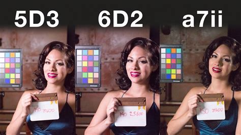 comparing canon  sony full frame cameras  cost   petapixel