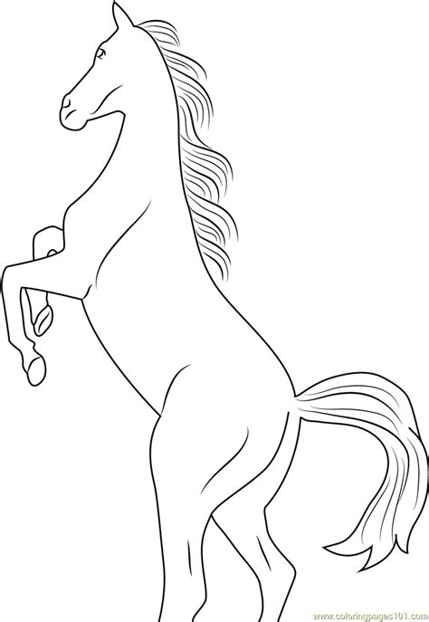 horse rearing coloring page  horse coloring pages