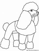 Poodle Coloring Dog Drawings Browser Designlooter Ok Internet Change Case Will sketch template