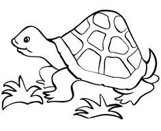 cute  turtle coloring pages kids coloring pages pinterest