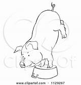 Pig Coloring Clipart Pot Cartoon Handstand Outlined Doing Picsburg Vector Bellied Template sketch template