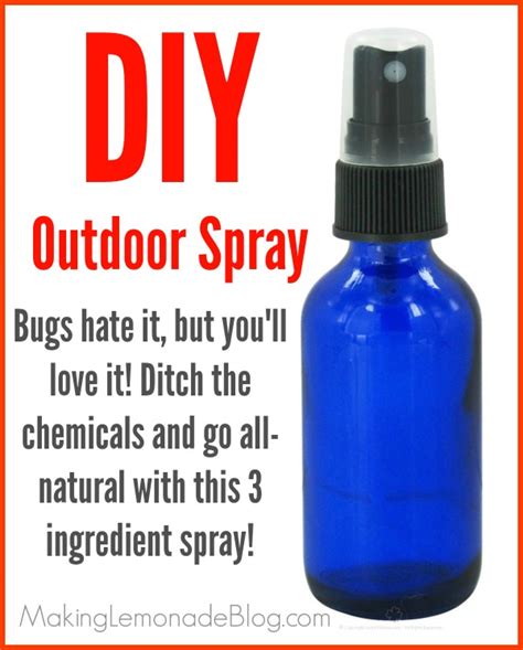 Homemade Outdoor And Camping Spray {bugs Hate It } Making