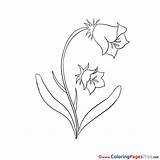 Coloring Bluebell Sheets Pages Flower Sheet Title Coloringpagesfree sketch template