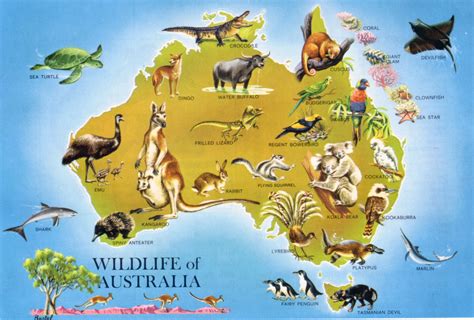 australien karte tierwelt
