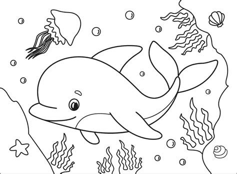 baby dolphin coloring pages printable coloring pages