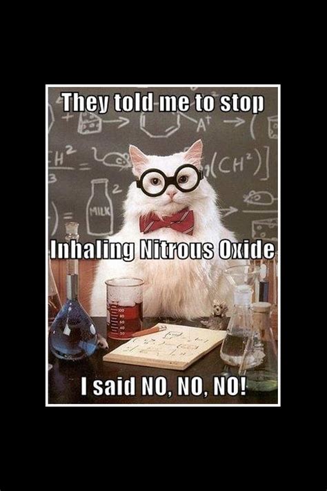 No No No Nerdy Jokes Chemistry Cat Science Jokes