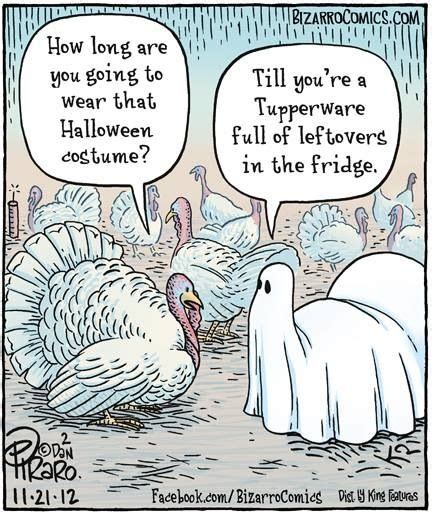 17 best images about thanksgiving humor on pinterest funny