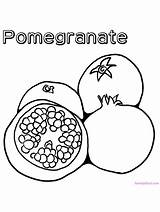 Pomegranate Pomegranates sketch template