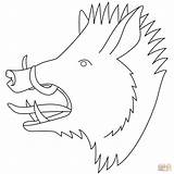 Wild Boar Coloring Head Pages Drawing Boars Printable Puzzle sketch template