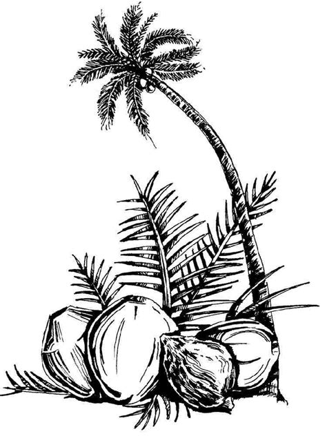 coconut coloring pages