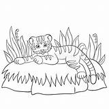 Smiles Tiger Coloring Wild Animals Baby Cute Pages Little Preview Contour Educational sketch template