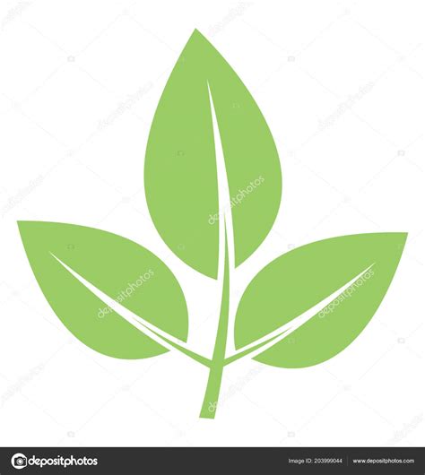 leaves   visible vein offering elm leave icon stock