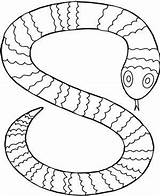 Sarpe Cobra Colorat Serpent Serpente Colorir Animaux Desenhos Coloriage Plansa Snakes Planse Cobras Sarpele Coloriages Clopotel sketch template