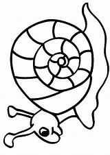 Coloriage Escargot Colorat Coquille Melci Caracol Hugo Imprimer Dibujo Animale Animaux 1040 Planse Hugolescargot Mode P10 Coloriages Coloringkids Snails Animales sketch template