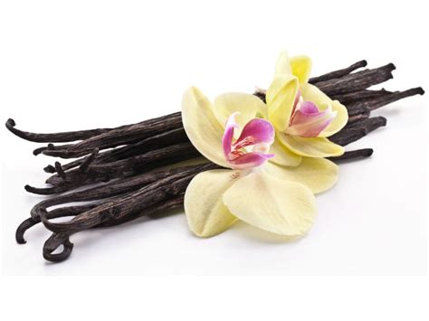 health benefits  vanilla boldskycom
