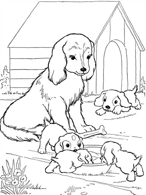 baby animals  mom coloring page coloring home