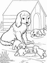 Coloring Baby Pages Animals Dog Mom Moms Wolf Pups Coloringbay Chihuahua Popular sketch template
