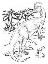 Corythosaurus Animals Coloring Dinosaurs Pages Extinct Dinosaur Info sketch template