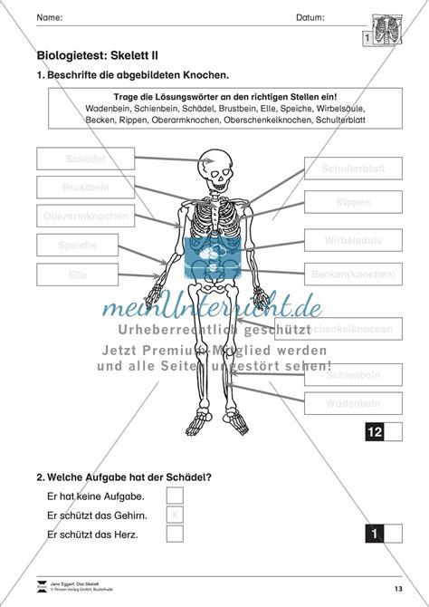 koerper und gesundheit aufgaben biologie test