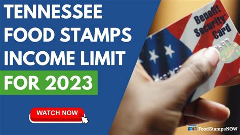 Tennessee Food Stamp Income Limits For 2023 Youtube