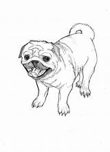 Pug Coloring Fc00 sketch template