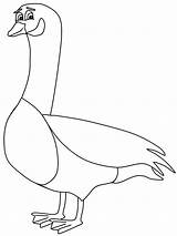 Coloring Goose Pages Animals Canada Kids Birds Popular Printable Book Advertisement Coloringhome sketch template